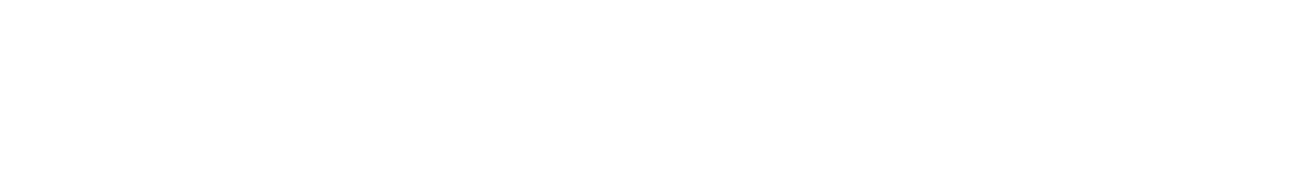 Footer Primary